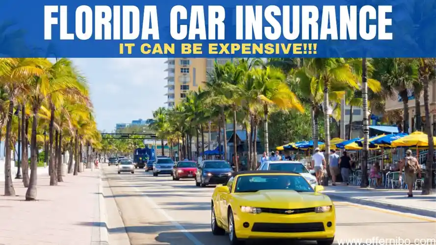 are you required to have car insurance in florida