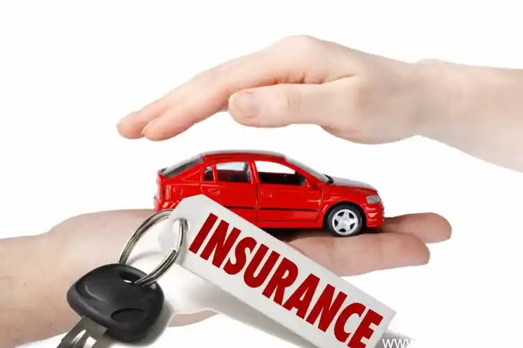 best insurance for new car owners