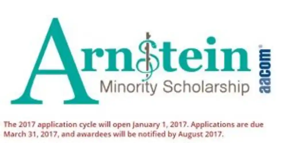 sherry r arnstein underrepresented minority scholarship